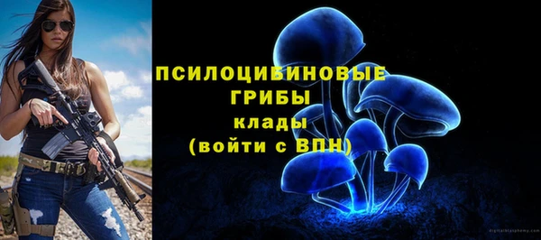 2c-b Снежинск