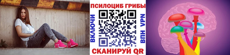 где можно купить наркотик  Кондрово  Псилоцибиновые грибы мухоморы 